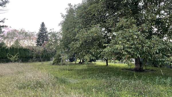 Garten Garten - Einfamilienhaus in 02991 Laubusch mit 94m² kaufen