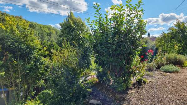 Garten - Einfamilienhaus in 01737 Kurort Hartha mit 90m² kaufen