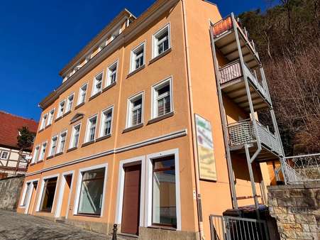 Seitliche Vorderansicht - Mehrfamilienhaus in 01814 Bad Schandau mit 364m² kaufen