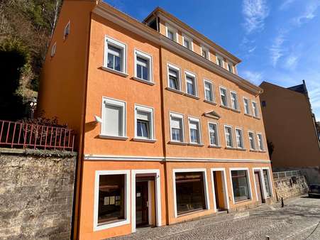 Seitliche Vorderansicht - Mehrfamilienhaus in 01814 Bad Schandau mit 364m² kaufen
