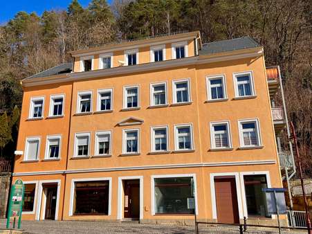 Vorderansicht - Mehrfamilienhaus in 01814 Bad Schandau mit 364m² kaufen