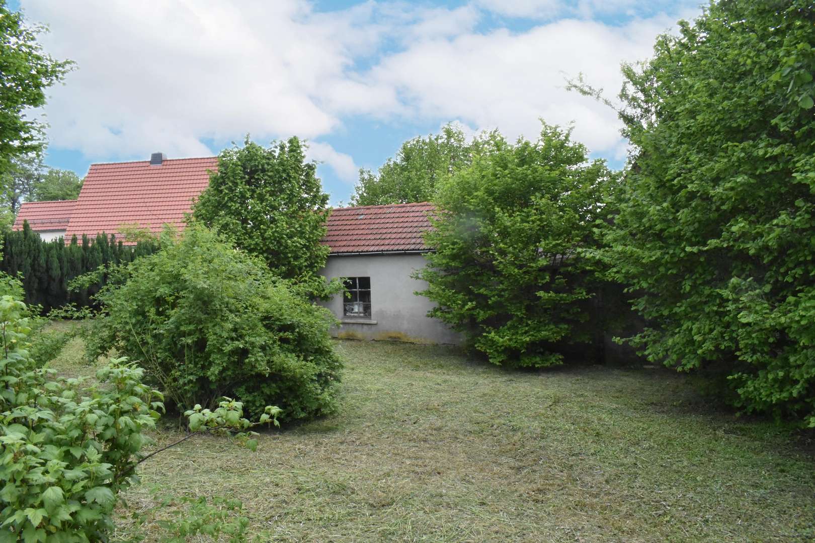 Außenansicht - Grundstück in 01896 Pulsnitz mit 1190m² kaufen