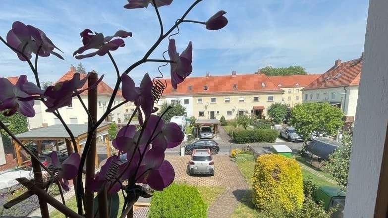 Hofansicht Hofansicht - Reihenmittelhaus in 01237 Dresden mit 90m² kaufen
