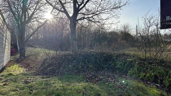 Aufgeschütteter Erdwall am Grundstücksrand linksseitig - Grundstück in 01917 Kamenz mit 3706m² kaufen