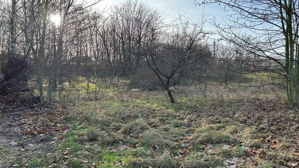 Grundstücksansicht - Grundstück in 01917 Kamenz mit 3706m² kaufen