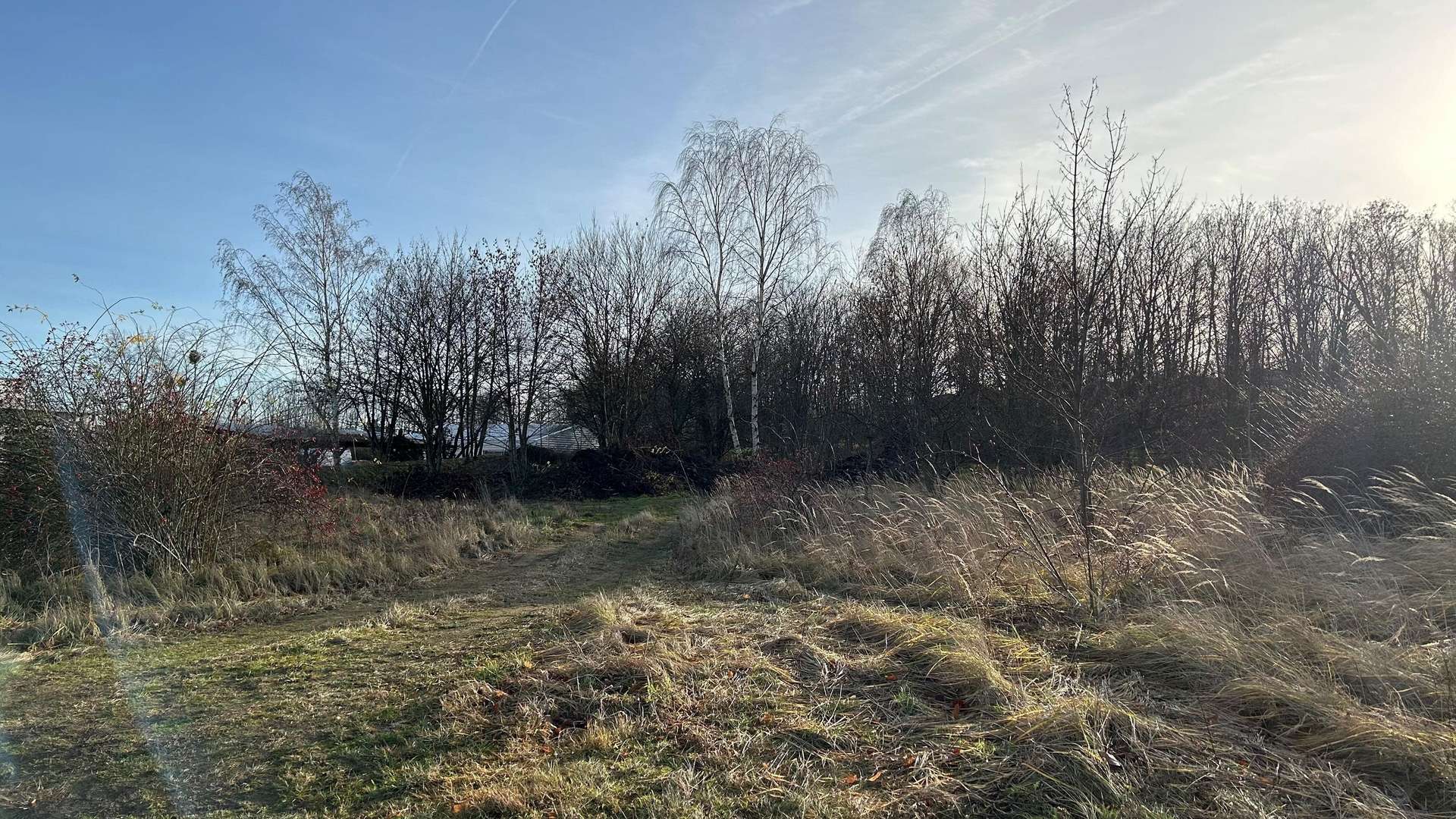 Grundstücksansicht - Grundstück in 01917 Kamenz mit 3706m² kaufen