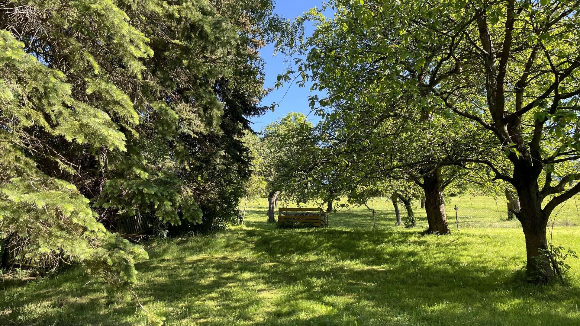 Garten - Bauernhaus in 01773 Altenberg mit 147m² kaufen