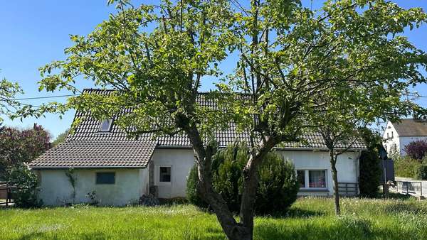 Gartenansicht - Einfamilienhaus in 01920 Elstra mit 76m² kaufen
