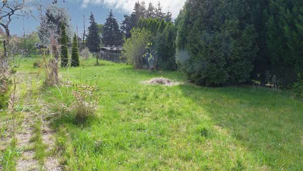 Einfamilienhaus in 01796 Pirna mit 120m² kaufen SparkassenImmobilien