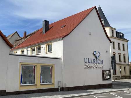 Rückseite mit Anbau - Einfamilienhaus in 01616 Strehla mit 127m² kaufen