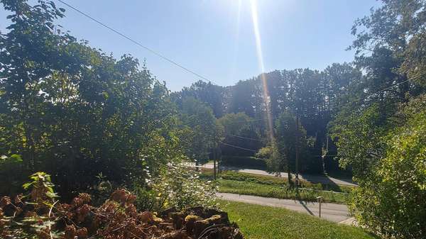 Blick auf Dorfstr. - Grundstück in 02681 Schirgiswalde-Kirschau mit 4415m² kaufen