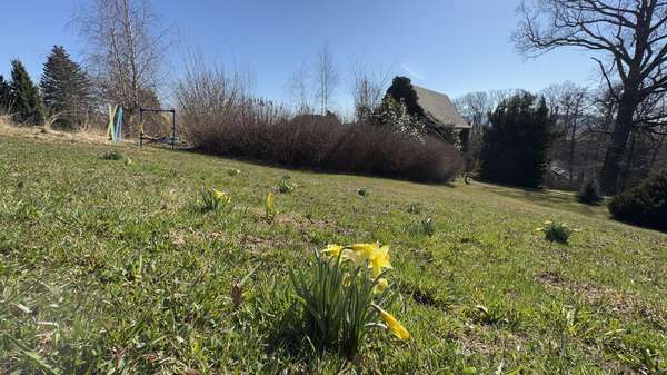 Idyllischer Baugrund - Grundstück in 02681 Schirgiswalde-Kirschau mit 4415m² kaufen