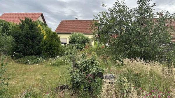 IMG_4855 IMG_4855 - Einfamilienhaus in 04821 Brandis mit 130m² kaufen