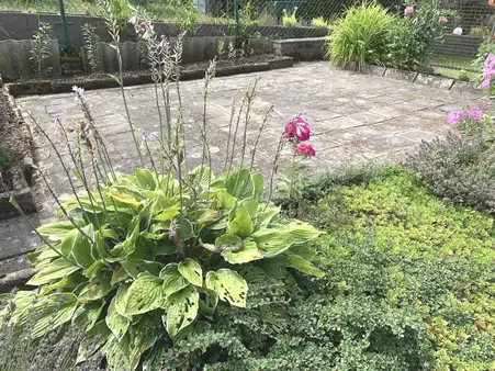 3 Generationen unter einem Dach
