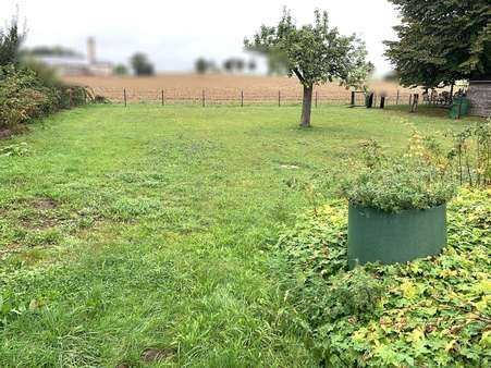 Gartenbereich - Einfamilienhaus in 04720 Großweitzschen mit 65m² kaufen