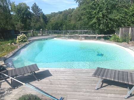 Poolbereich EFH - Landhaus in 04703 Leisnig mit 395m² kaufen