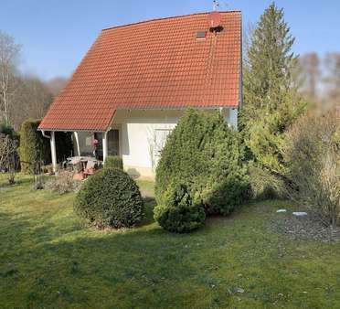 Gartenansicht - Einfamilienhaus in 04720 Döbeln mit 116m² kaufen