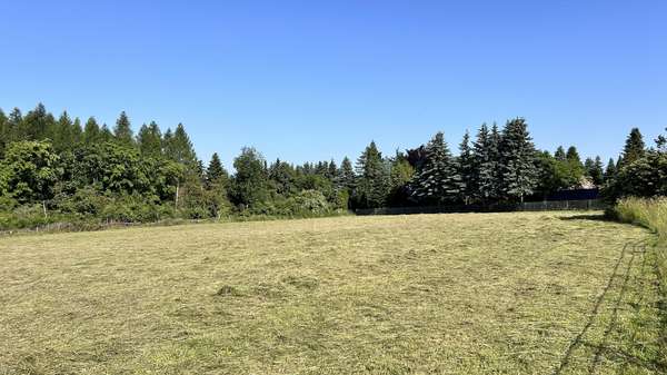 Blick in den Wald Blick in den Wald - Grundstück in 09128 Chemnitz mit 1111m² kaufen