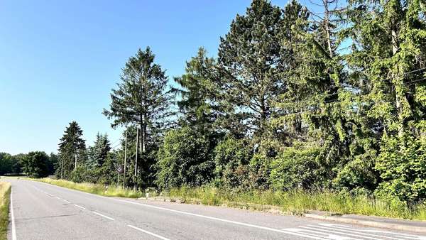 Blick von der Straße - Grundstück in 09128 Chemnitz mit 867m² kaufen
