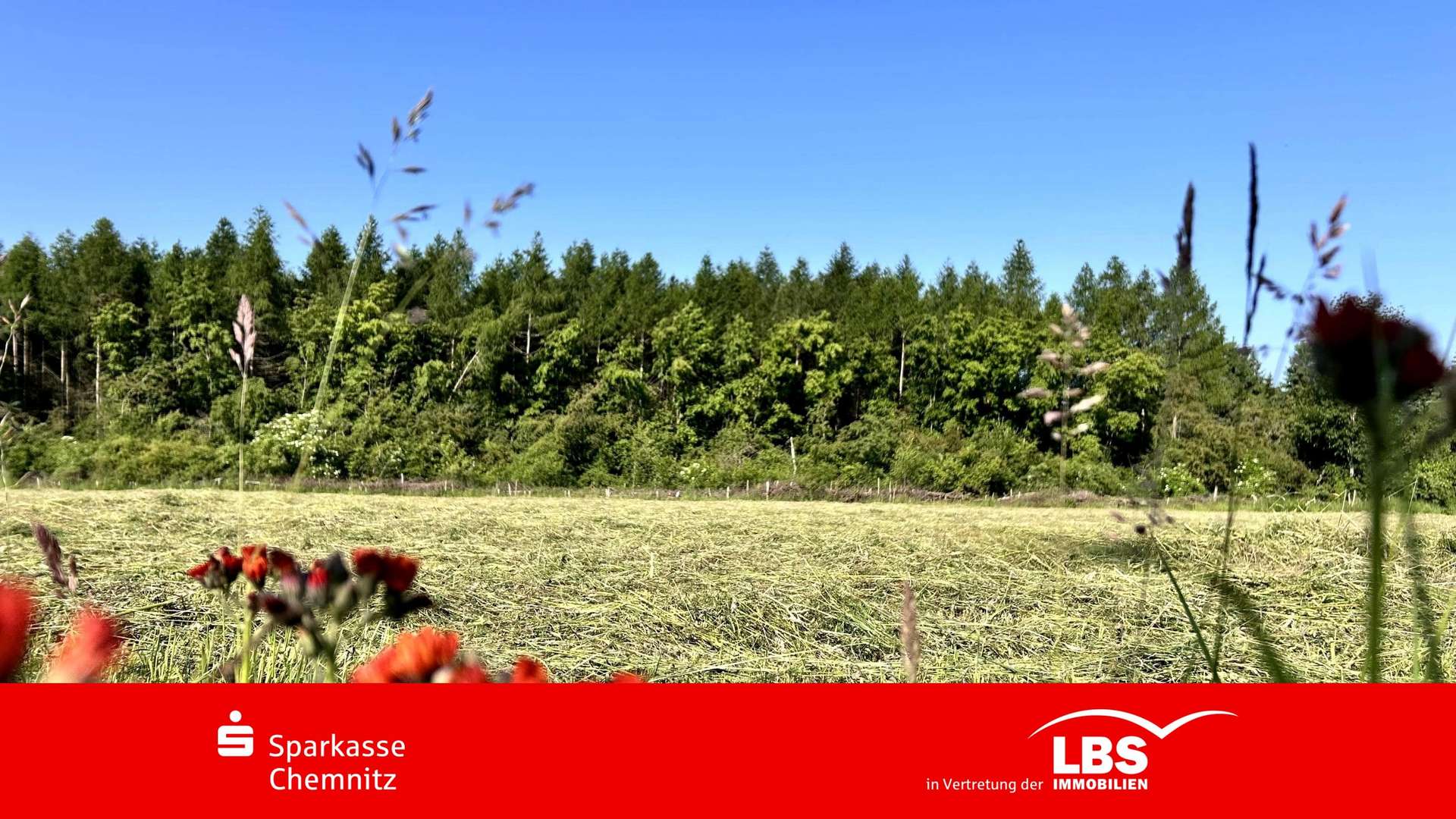 Titelbild - Grundstück in 09128 Chemnitz mit 867m² kaufen