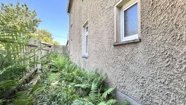 Rückansicht - Einfamilienhaus in 09228 Chemnitz mit 120m² kaufen