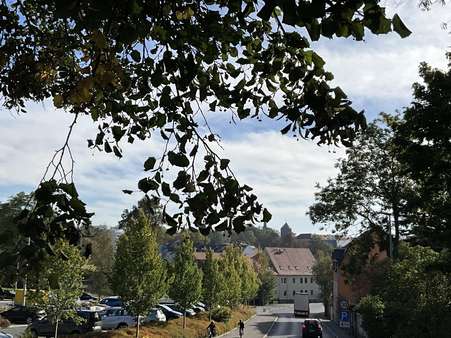 Blick Richtung Altstadt - Grundstück in 09599 Freiberg mit 1100m² kaufen