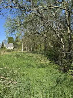 Den Sommer im Grünen genießen!