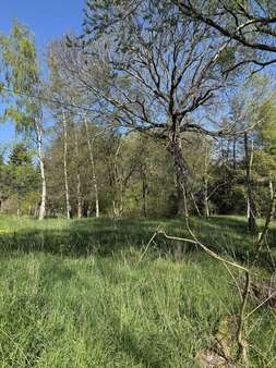 Grundstück 2 - Grundstück in 09627 Bobritzsch-Hilbersdorf mit 1980m² kaufen