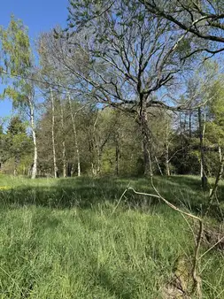 Den Sommer im Grünen genießen!