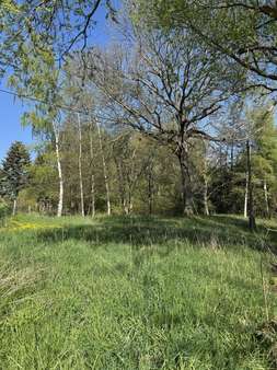 Grundstück 4 - Grundstück in 09627 Bobritzsch-Hilbersdorf mit 1980m² kaufen