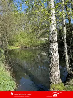 Den Sommer im Grünen genießen!