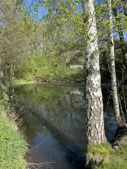 Den Sommer im Grünen genießen!