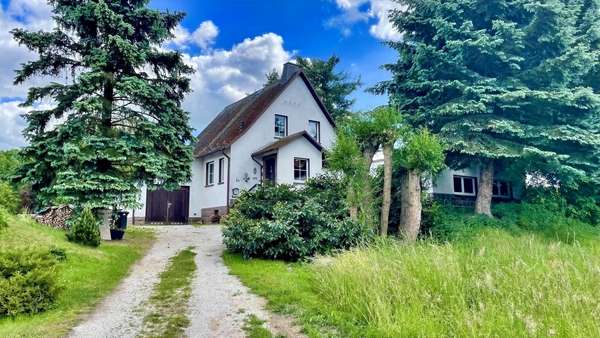 Außenansicht - Einfamilienhaus in 09306 Seelitz mit 105m² kaufen