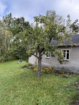 IMG_1102 - Einfamilienhaus in 09600 Oberschöna mit 84m² kaufen