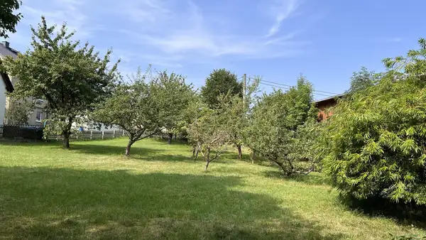 Wohnhaus mit großzügigem Grundstück