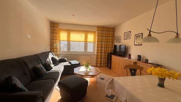 Wohnzimmer Wohnzimmer - Etagenwohnung in 09484 Kurort Oberwiesenthal mit 57m² als Kapitalanlage kaufen