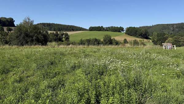 Grundstück in 09430 Drebach mit 713m² kaufen