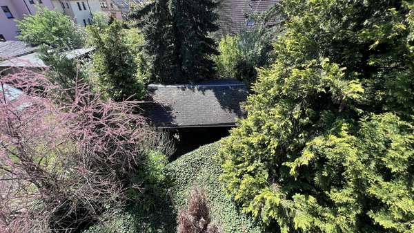 Grundstück - Bungalow in 08112 Wilkau-Haßlau mit 88m² kaufen