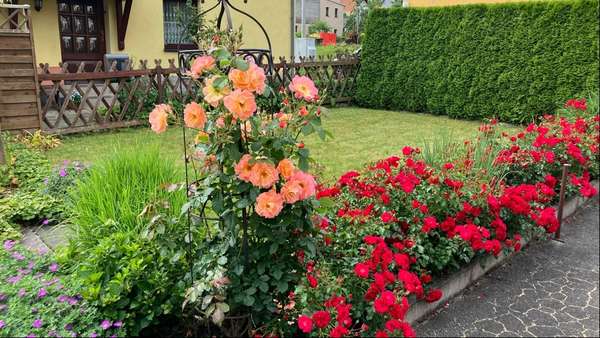 Gartengrundstück - Einfamilienhaus in 08132 Mülsen mit 120m² kaufen
