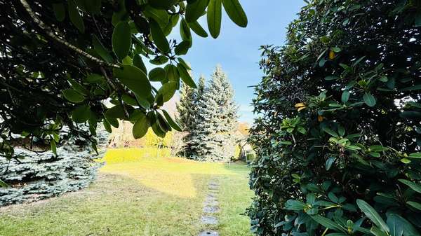 großes Grundstück - Einfamilienhaus in 08062 Zwickau mit 140m² kaufen