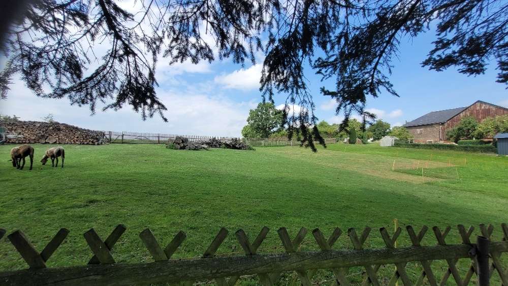 Aussicht nach hinten  - Bauernhaus in 07919 Langenbach mit 130m² kaufen