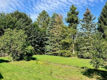 Ebene Gartenfläche - Grundstück in 08223 Falkenstein mit 3710m² kaufen