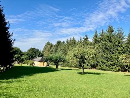 Weitläufiges Gartengrundstück - Grundstück in 08223 Falkenstein mit 3710m² kaufen