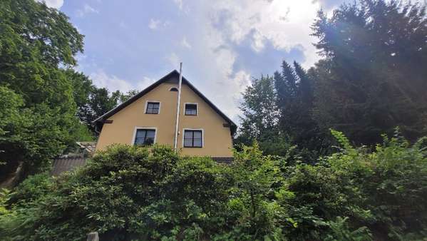 Giebelseite/Frontansicht - Einfamilienhaus in 08543 Pöhl mit 120m² kaufen
