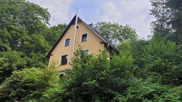 Giebelseite/Frontansicht - Einfamilienhaus in 08543 Pöhl mit 120m² kaufen
