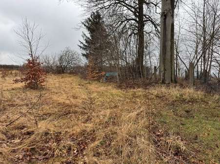 6 - Grundstück in 08606 Oelsnitz mit 2718m² kaufen