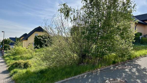Seitenansicht - Grundstück in 08209 Auerbach mit 435m² kaufen