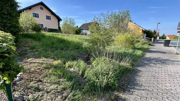 Straßenansicht - Grundstück in 08209 Auerbach mit 435m² kaufen