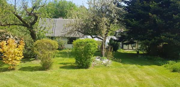 gepflegter Garten gepflegter Garten - Einfamilienhaus in 08606 Schönbrunn mit 76m² kaufen