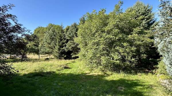 Großes Gartengrundstück - Einfamilienhaus in 08223 Werda mit 118m² kaufen